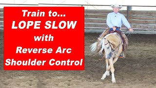 Train Your Horse to Lope Slow  Shoulder Control  Reining Horse Reined Cow Horse Trail Horse [upl. by Alidus]