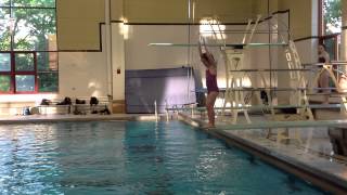 Teach a Flip for Springboard Diving [upl. by Modla]