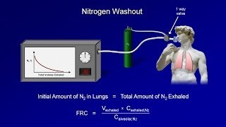 DiaphragmLung Demo [upl. by Kaela]