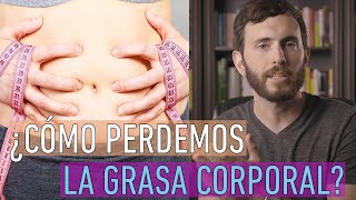 Como se QUEMA LA GRASA CORPORAL [upl. by Selig]