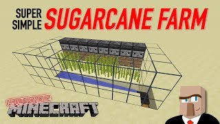 REDSTONE SUGARCANE FARM  Easy and Automatic Design Minecraft [upl. by Genia]