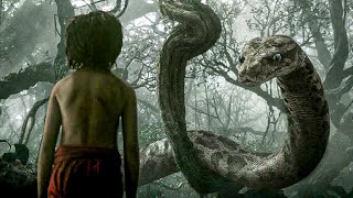 TOP 10 JUNGLE ADVENTURE amp RAIN FOREST MOVIES  MOVIE IN THE WOODS [upl. by Lagasse]