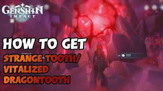 HOW TO GET STRANGE TOOTH amp VITALIZED DRAGONTOOTH  Genshin Impact [upl. by Ferriter]