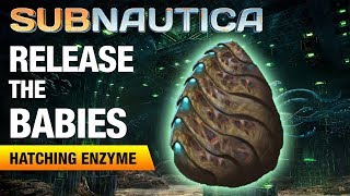 Making the Hatching Enzyme  SUBNAUTICA [upl. by Dannye]