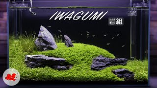 Iwagumi aquascaping 60l [upl. by Nahrut]