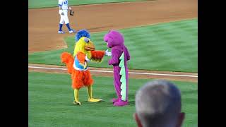 Famous Chicken battles Barney in a danceoff [upl. by Haididej]