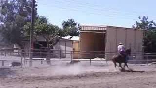 Training a reined cow horse with the CowTrac II Mechanical Cow [upl. by Strain]