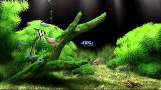 Dream Aquarium Virtual Fishtank 2 [upl. by Kimmel]