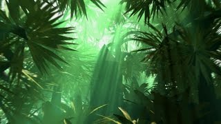 Tribal Jungle Music  Exotic Jungle [upl. by Mays229]