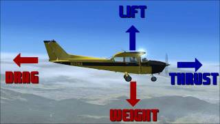 The Aerodynamics of Flight [upl. by Koblas553]