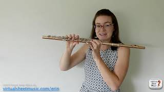 Advanced Flute Techniques  Flute Lesson [upl. by Ecnarolf]