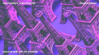 Anthony Keyrouz  Paradigm  Wake Me Up In Paris [upl. by Arerrac283]