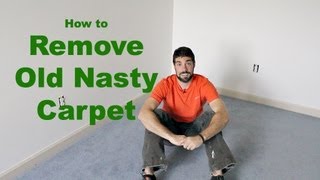 How to Remove Old Nasty Carpet DIY [upl. by Esirehc629]