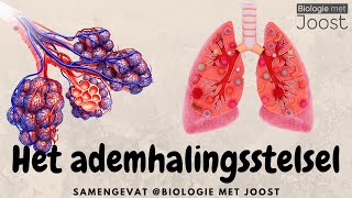 Oefening stem en ademhaling [upl. by Aniretak]