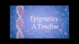 Epigenetics Overview [upl. by Llednil856]