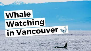 VANCOUVER Whale Watching  Granville Island [upl. by Itisahc]