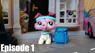 LPS The Orphan Episode 1 [upl. by Forcier]