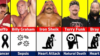 How WWE Wrestlers Died in 2023 [upl. by Atiniuq915]