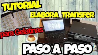 TUTORIAL Elabora Transfer para Gelatinas 🍮 Paso a Paso [upl. by Eseer777]