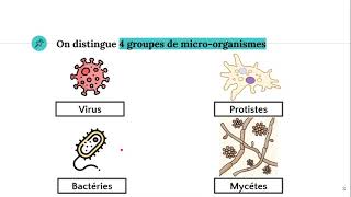 Les microorganismes 🦠 [upl. by Dougal]