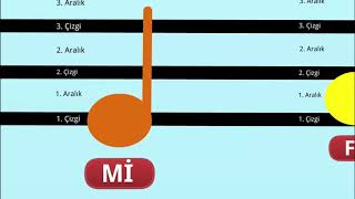 Notaların dizek üzerindeki yerleri [upl. by Murage607]