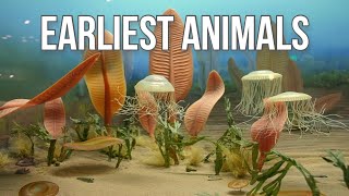 Precambrian Creatures The First Animals [upl. by Assilrac433]