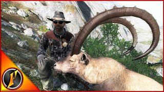 Ibex Hunt  3 Trophy Ibex in theHunter Classic [upl. by Woodsum513]