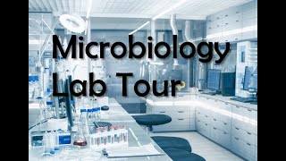 Microbiology Lab Tour [upl. by Hulda]