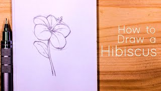 How to Draw a Hibiscus Flower  Step by Step for Beginners [upl. by Llertac]