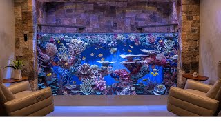 Massive Custom Home Aquarium  3000g Saltwater  Large Fish Tank Build [upl. by Algernon993]