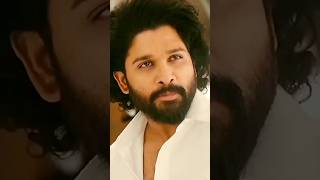 Allu Arjun Action Scenes [upl. by Yarezed424]