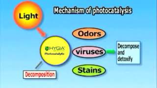 Mechanism Photocatalysis [upl. by Bork]