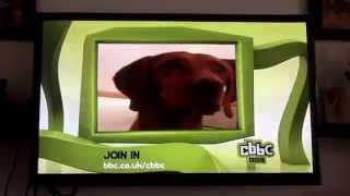 CBBC Ident Collection 2013 [upl. by Nelg]