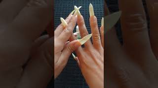 Incredible long natural nails by our hand model Hebzy july 2021 [upl. by Matteo360]