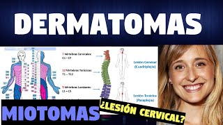 TODO SOBRE LOS DERMATOMAS Y MIOTOMAS  FUNCIONES [upl. by Leonardo]