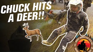 Chuck HITS a DEER on a Motorcycle  Part 4 RMATVMC Idaho Motorcycle Adventure Ride [upl. by Sturdivant836]