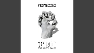 Promesses Radio Edit [upl. by Lansing]