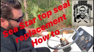 quotSEASTAR HELMquot TOP SEAL REPAIR HOW TO [upl. by Helfand756]