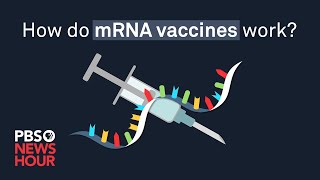 How do mRNA COVID19 vaccines work [upl. by Janna111]