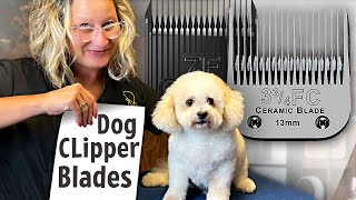 Dog Grooming Clipper BladesEverything You Need to Know [upl. by Jennie694]