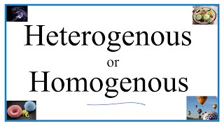 Heterogenous vs Homogenous Definitions Examples amp Practice [upl. by Lertsek]