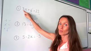 The Maths Prof Solving Linear Equations part 1 [upl. by Poliard]