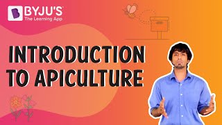 Apiculture or Beekeeping Introduction  BYJUS [upl. by Naman]