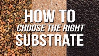 HOW TO Choose an Aquarium Substrate [upl. by Latyrc]