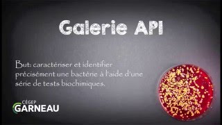 Galerie API [upl. by Madeline]