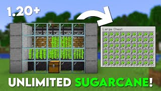 Minecraft EASIEST Sugarcane Farm Tutorial  AFK  121 [upl. by Notfa]