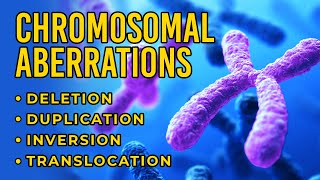 Chromosomal Aberrations  Deletion  Duplication  Inversion  Translocation [upl. by Norvol]