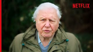 Sir David Attenborough On The Devastating Truth About Coral Reefs [upl. by Cuthbertson]