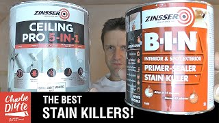 How to Paint over Ceiling and Wall Stains [upl. by Alger580]