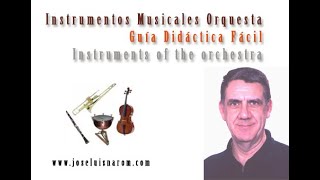 Instrumentos Musicales Orquesta  Guía Didáctica Fácil  Instruments of the orchestra [upl. by Dorn]